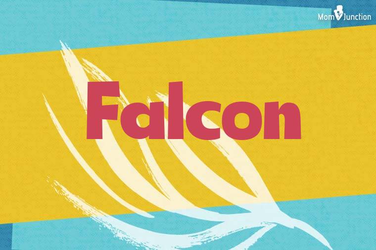 Falcon Stylish Wallpaper