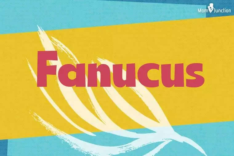 Fanucus Stylish Wallpaper