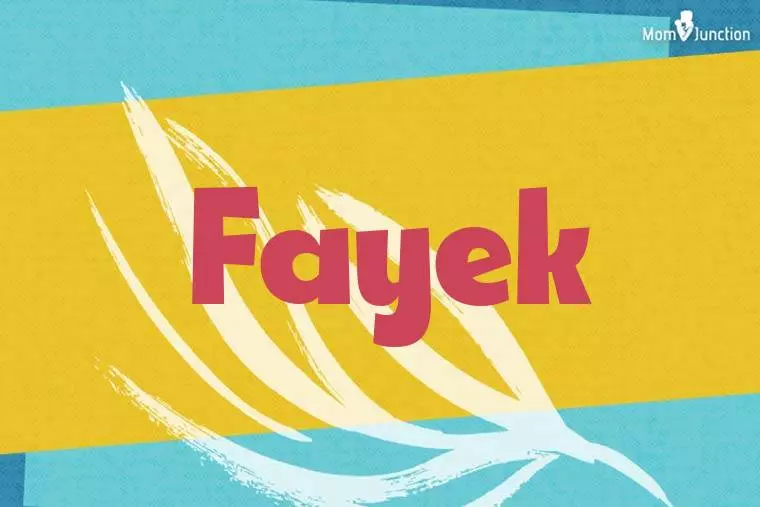 Fayek Stylish Wallpaper