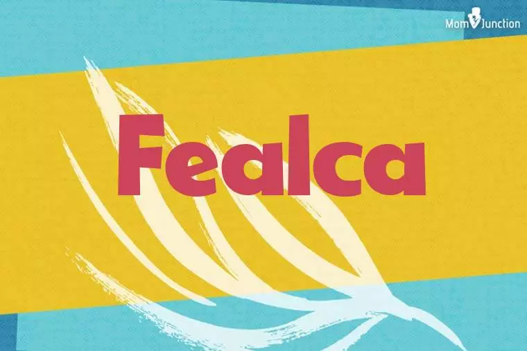 Fealca Stylish Wallpaper