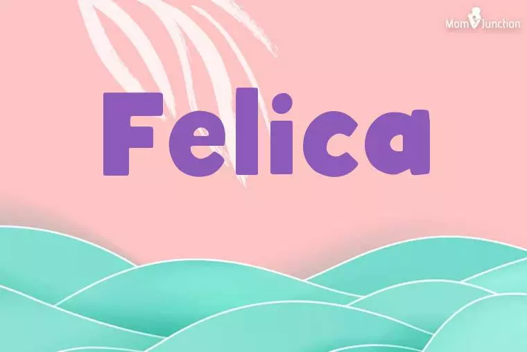 Felica Stylish Wallpaper