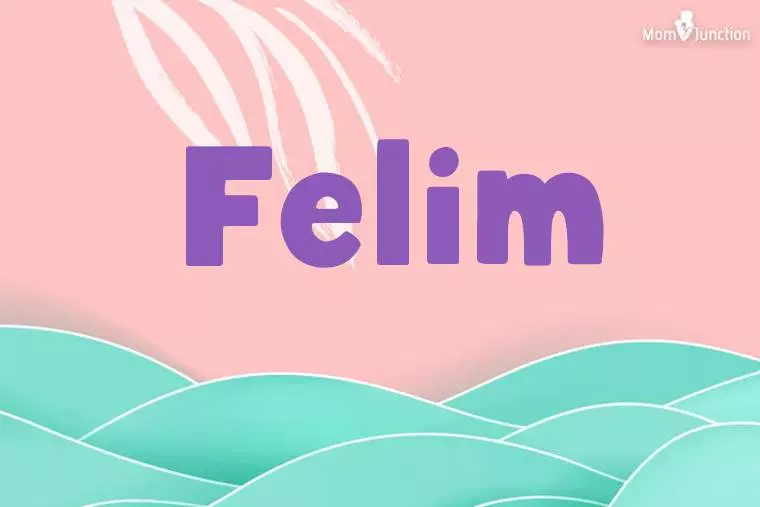 Felim Stylish Wallpaper