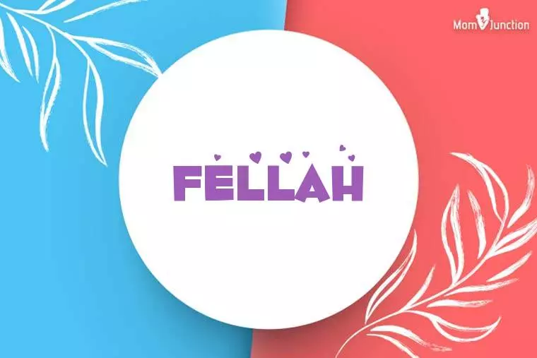 Fellah Stylish Wallpaper