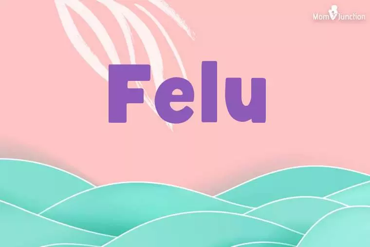 Felu Stylish Wallpaper