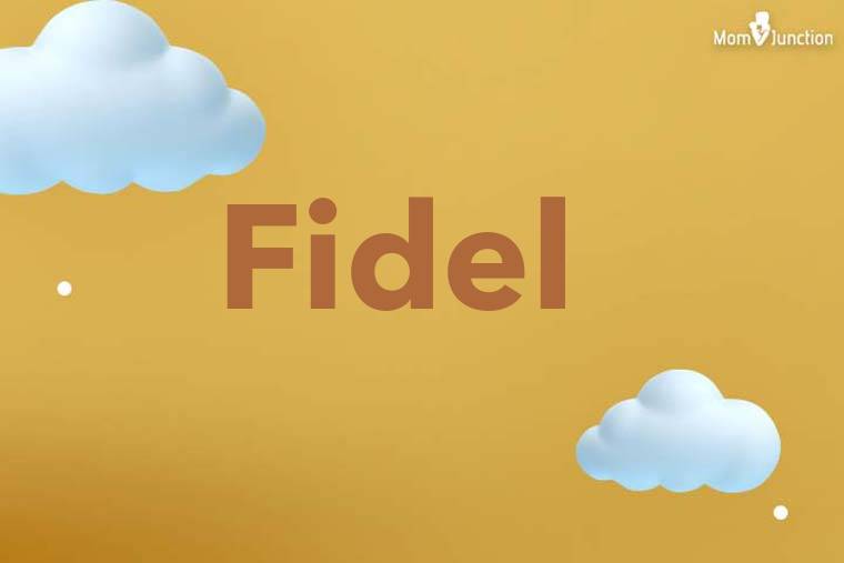 Fidel 3D Wallpaper