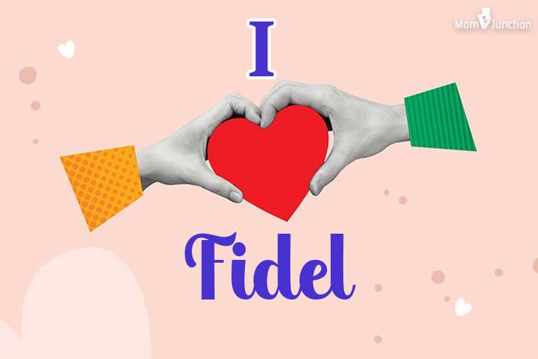 I Love Fidel Wallpaper