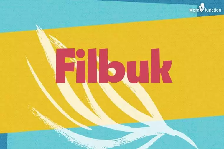 Filbuk Stylish Wallpaper