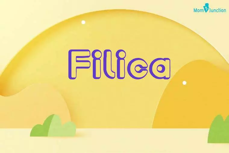 Filica 3D Wallpaper