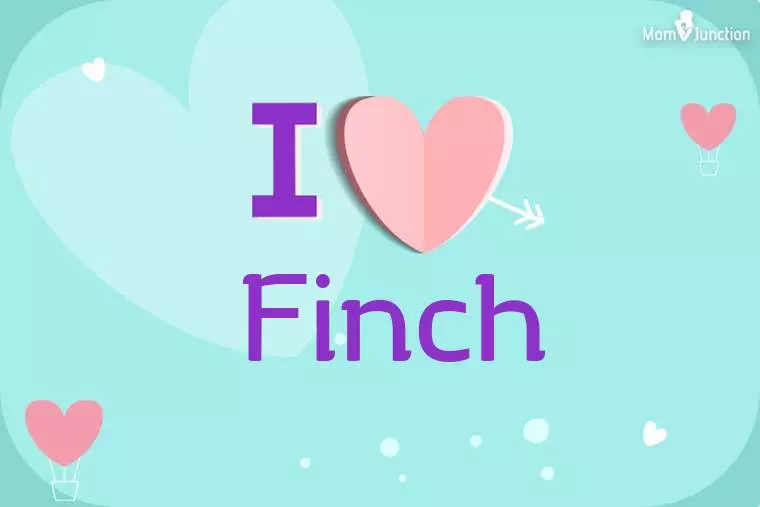 I Love Finch Wallpaper