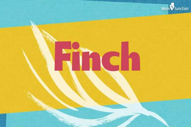 Finch Stylish Wallpaper