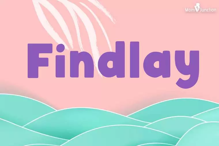 Findlay Stylish Wallpaper