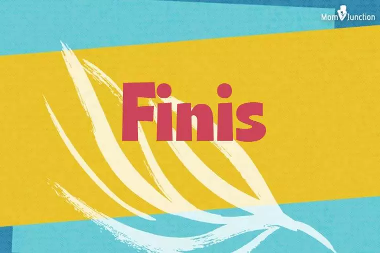 Finis Stylish Wallpaper