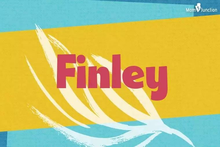 Finley Stylish Wallpaper