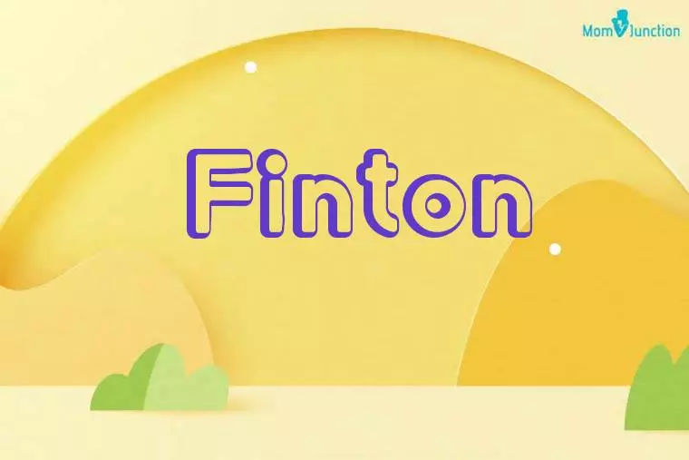 Finton 3D Wallpaper