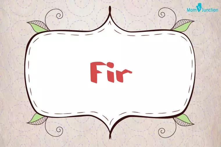 Fir Stylish Wallpaper