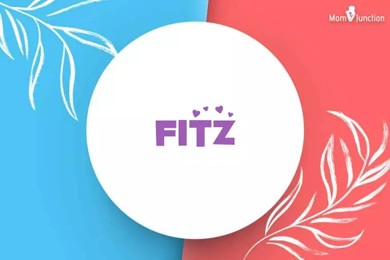 Fitz Stylish Wallpaper