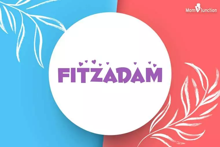 Fitzadam Stylish Wallpaper