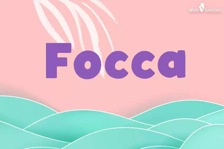 Focca Stylish Wallpaper