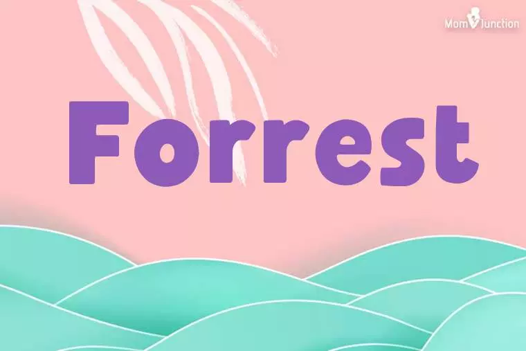 Forrest Stylish Wallpaper