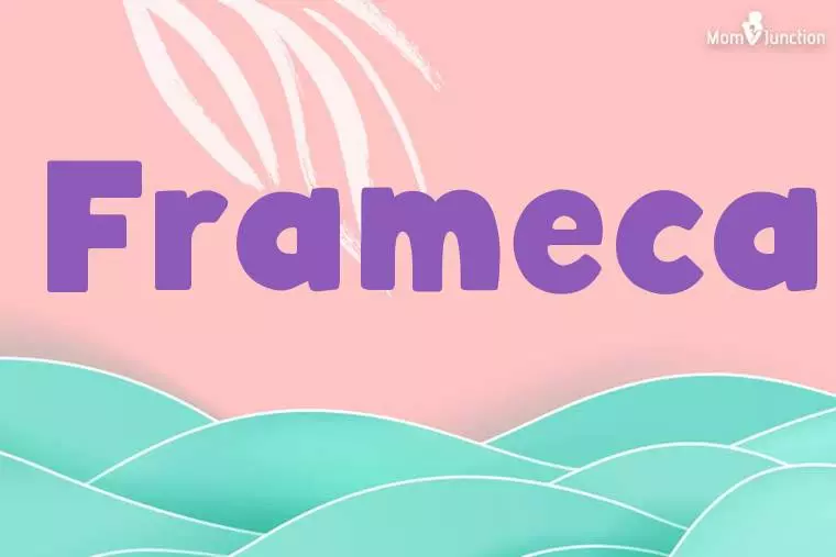 Frameca Stylish Wallpaper