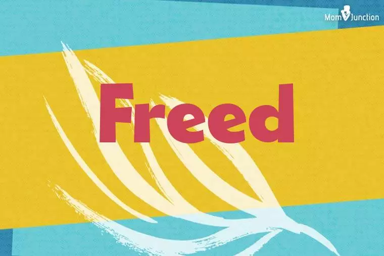 Freed Stylish Wallpaper