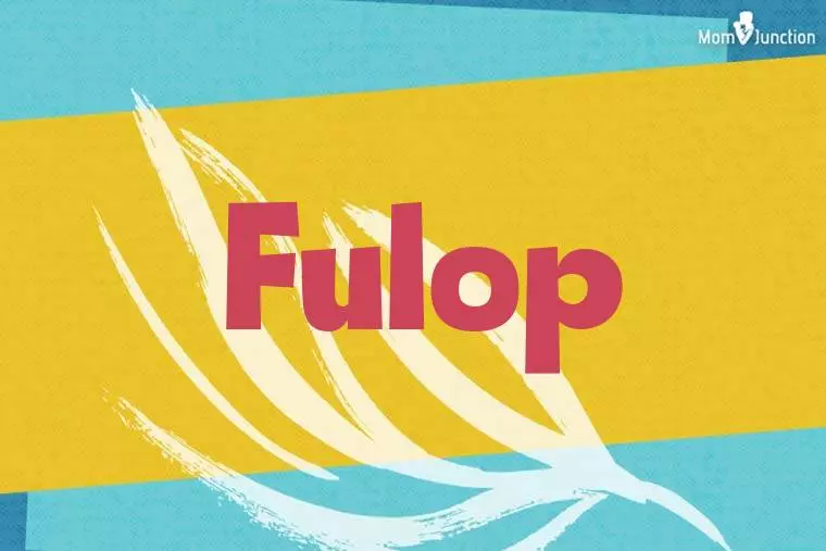 Fulop Stylish Wallpaper