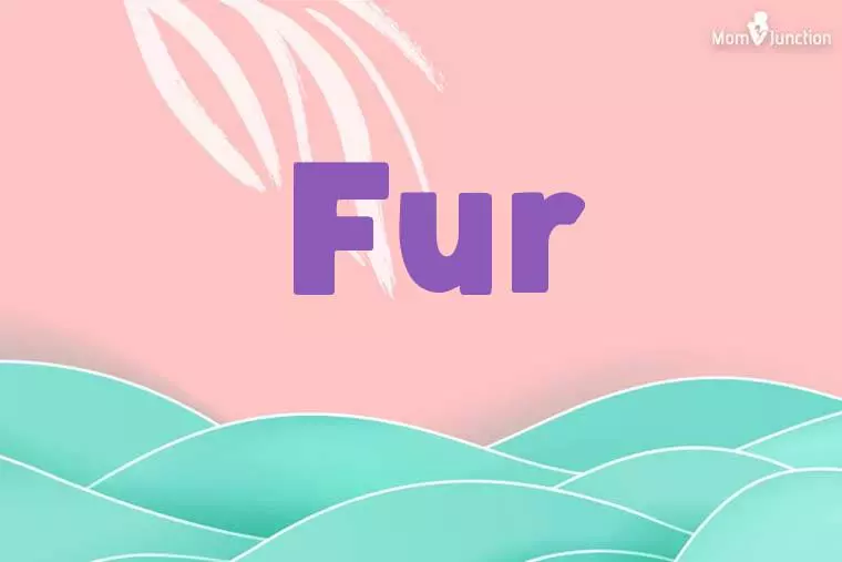 Fur Stylish Wallpaper