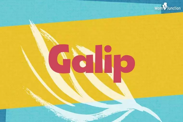 Galip Stylish Wallpaper