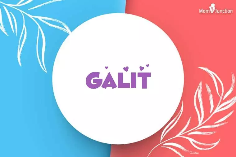 Galit Stylish Wallpaper