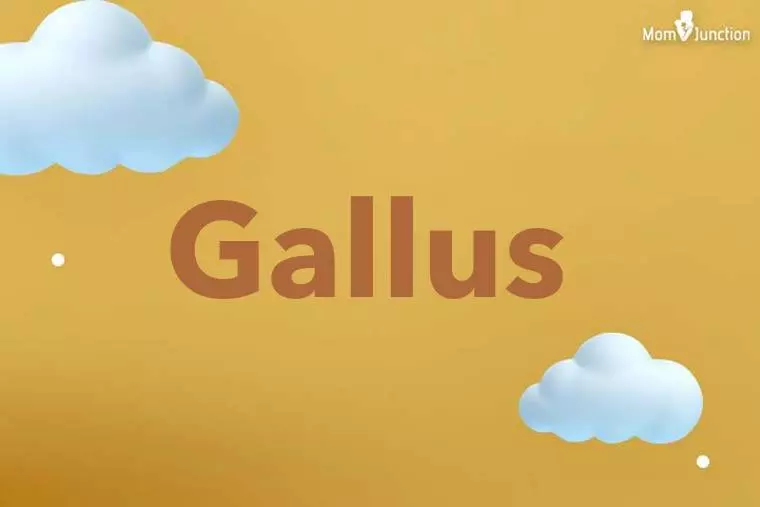 Gallus 3D Wallpaper