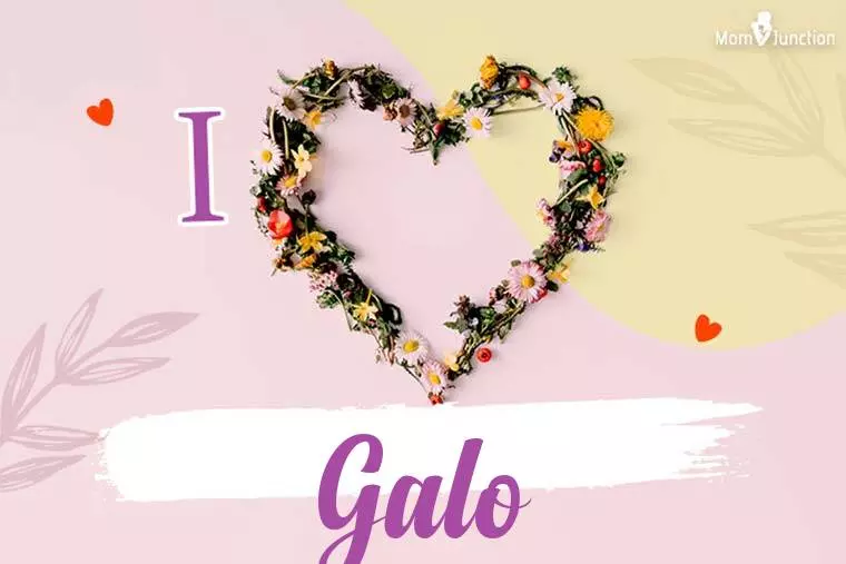 I Love Galo Wallpaper