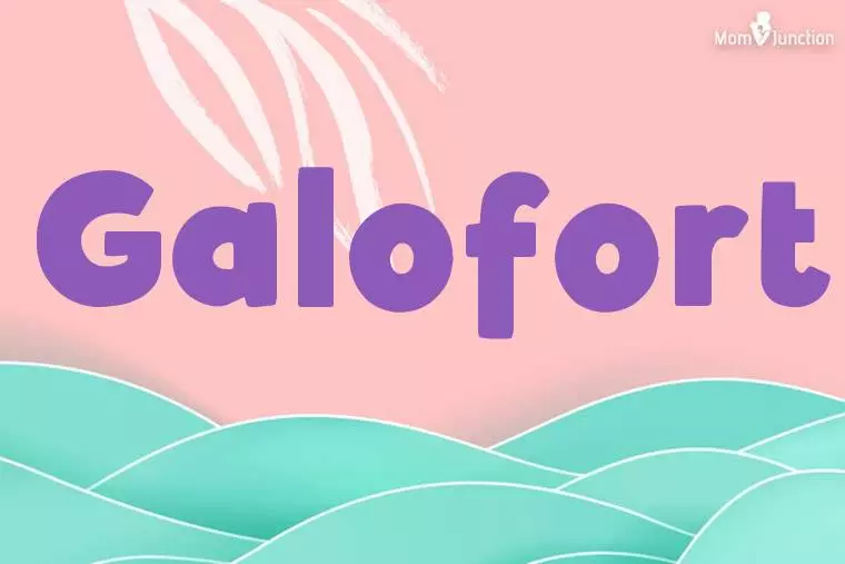 Galofort Stylish Wallpaper