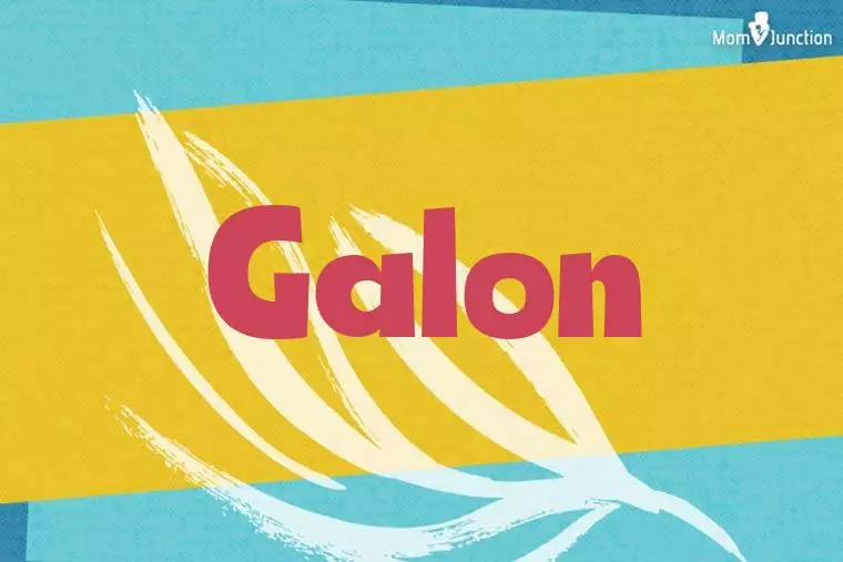 Galon Stylish Wallpaper