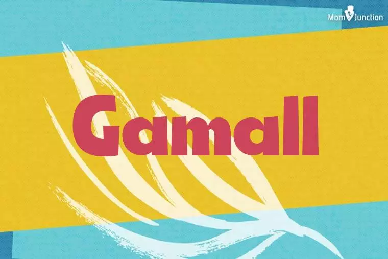 Gamall Stylish Wallpaper