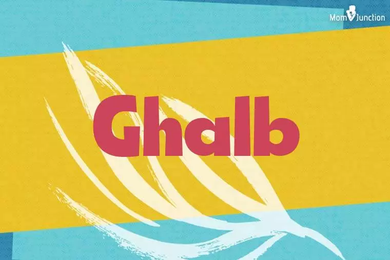 Ghalb Stylish Wallpaper