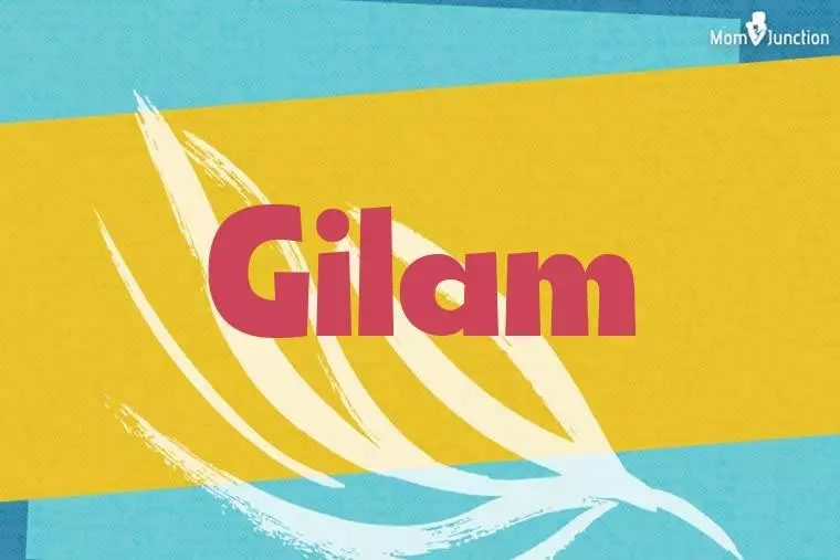 Gilam Stylish Wallpaper