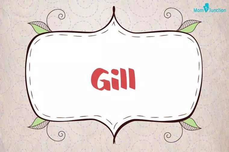 Gill Stylish Wallpaper