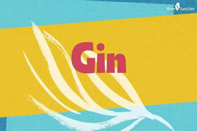 Gin Stylish Wallpaper