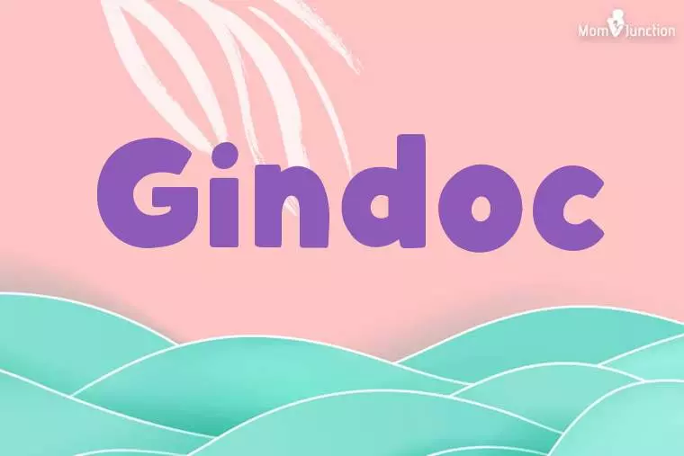 Gindoc Stylish Wallpaper