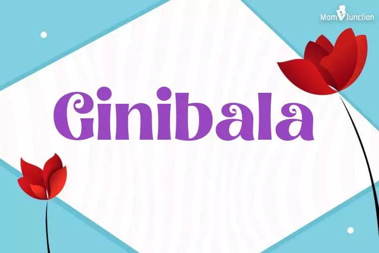 Ginibala 3D Wallpaper