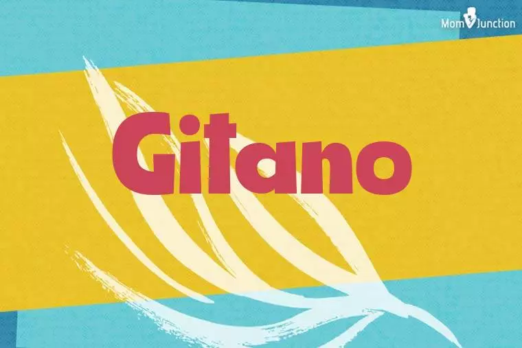 Gitano Stylish Wallpaper