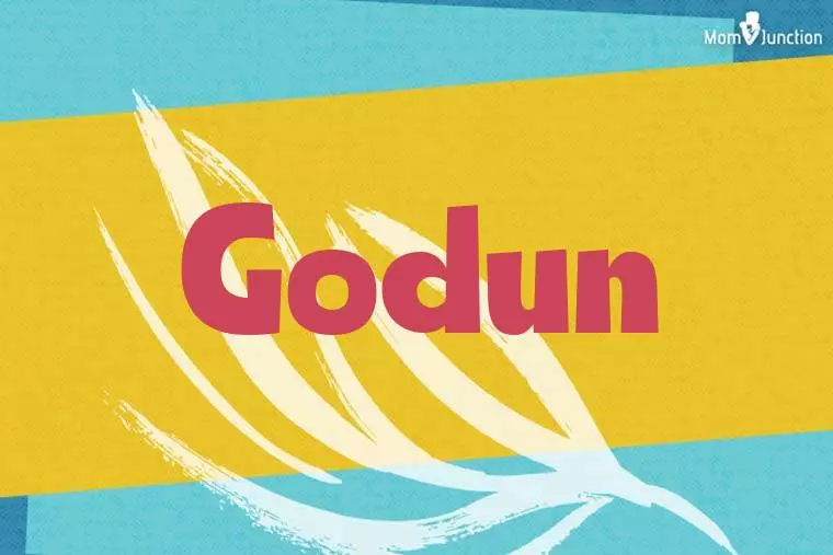 Godun Stylish Wallpaper