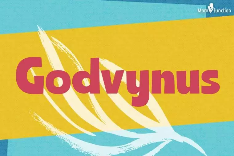 Godvynus Stylish Wallpaper