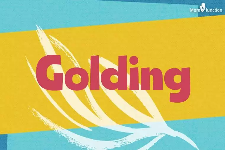 Golding Stylish Wallpaper