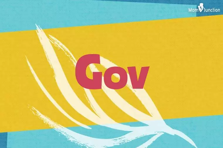 Gov Stylish Wallpaper