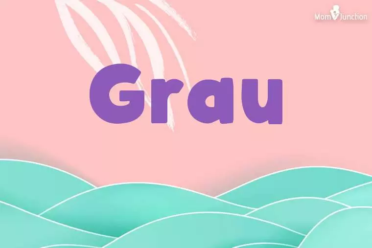 Grau Stylish Wallpaper