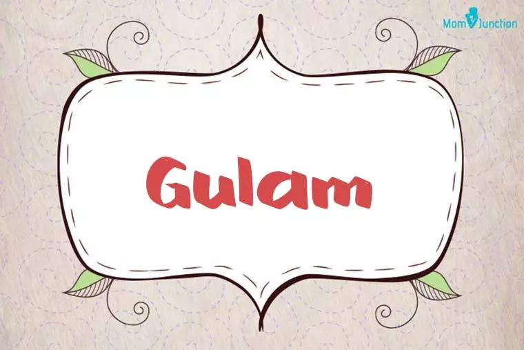 Gulam Stylish Wallpaper