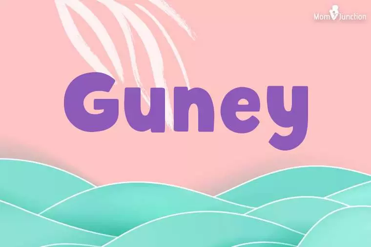 Guney Stylish Wallpaper