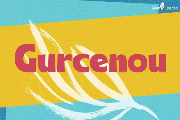 Gurcenou Stylish Wallpaper