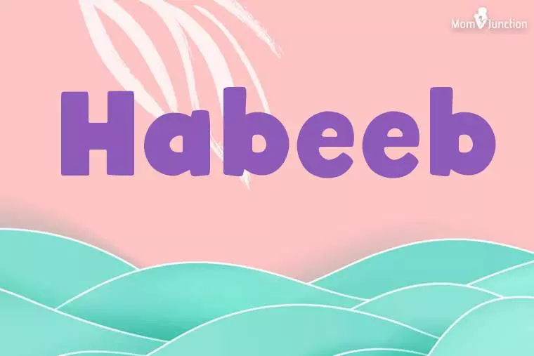 Habeeb Stylish Wallpaper